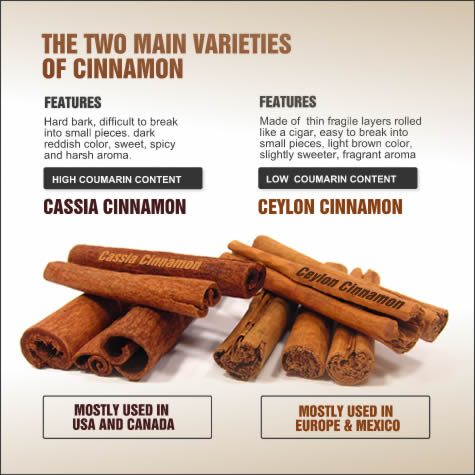 Ceylon Cinnamon vs. Cassia Cinnamon - What Is The Difference?