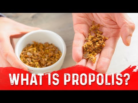 Organic Honey Bee Propolis